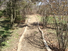 A.t. North Of Old Wolfsville Road, Md, 04/18/09 by Irish Eddy in Views in Maryland & Pennsylvania