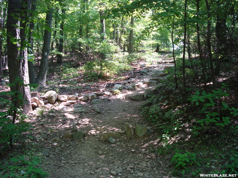 A. T. Ascent Toward Annapolis Rock, Md, 05/23/09