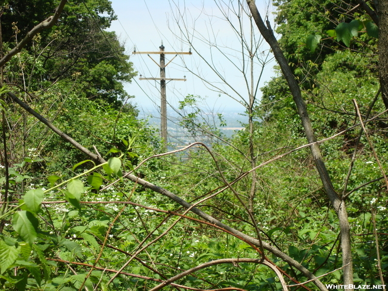 Power Line Crossing At South Mountain S. P., Md, 05/23/09