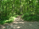 Access Trail To Pine Knob Shelter, Md, 05/23/09 by Irish Eddy in Views in Maryland & Pennsylvania