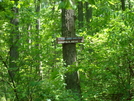 Access Trail To Pine Knob Shelter, Md, 05/23/09 by Irish Eddy in Views in Maryland & Pennsylvania