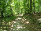 A. T. Ascent To Annapolis Rock, Md, 05/23/09 by Irish Eddy in Views in Maryland & Pennsylvania