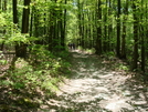 A. T. Ascent To Annapolis Rock, Md, 05/23/09 by Irish Eddy in Views in Maryland & Pennsylvania