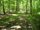 A.T. Ascent To Annapolis Rock, MD, 05/23/09 by Irish Eddy in Views in Maryland & Pennsylvania