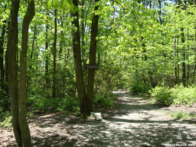 Access Trail To Annapolis Rock, Md, 05/23/09