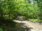Access Trail To Annapolis Rock, Md, 05/23/09 by Irish Eddy in Views in Maryland & Pennsylvania