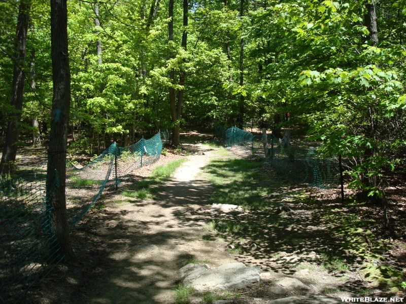 Access Trail To Annapolis Rock, Md, 05/23/09