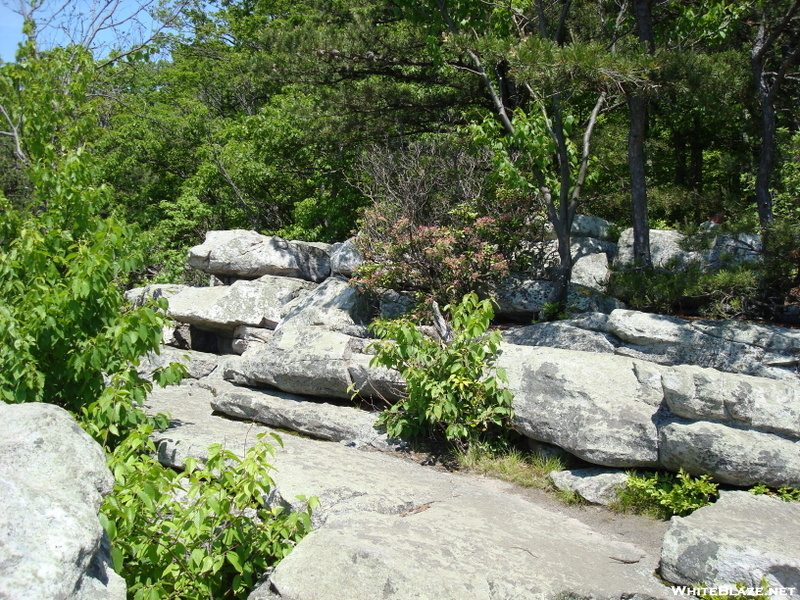 Annapolis Rock, Md, 05/23/09