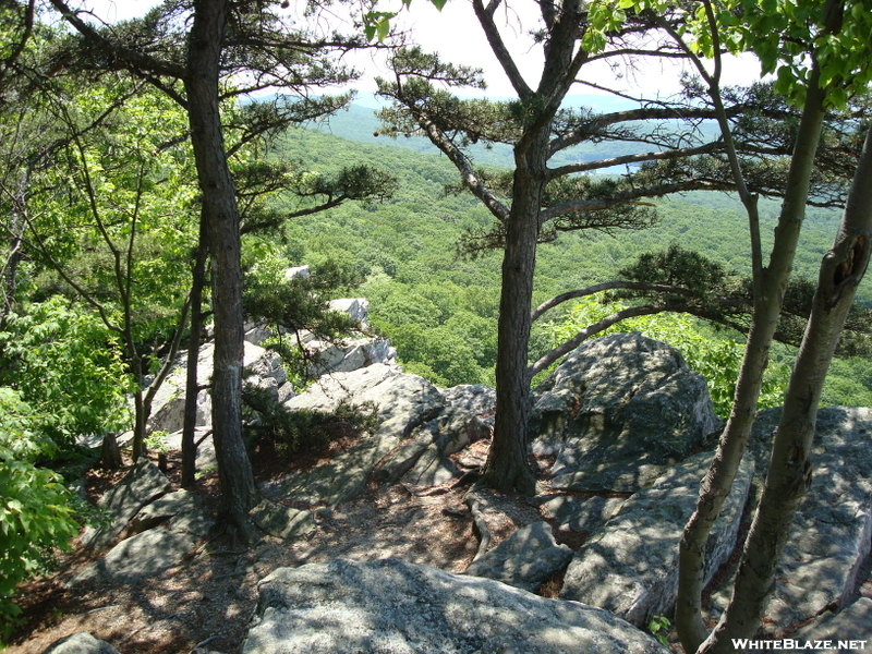 Annapolis Rock, Md, 05/23/09