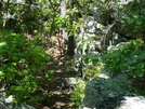 Annapolis Rock, Md, 05/23/09 by Irish Eddy in Views in Maryland & Pennsylvania