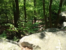A. T. Near Black Rock Cliff, Md, 05/23/09 by Irish Eddy in Views in Maryland & Pennsylvania