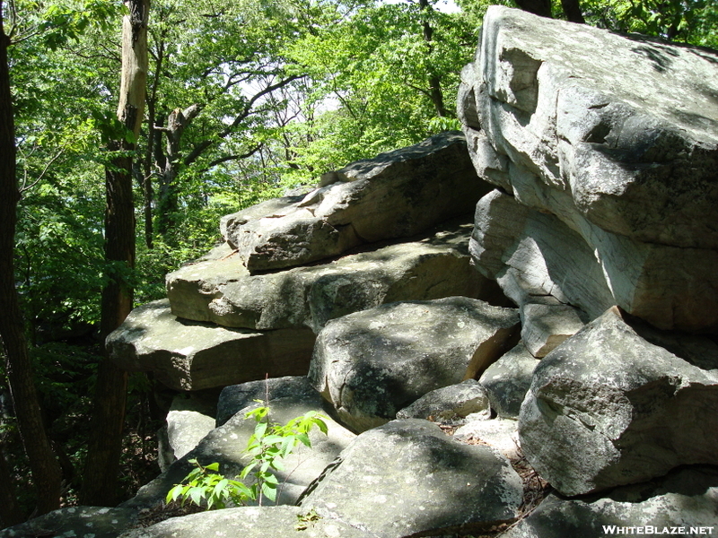 A. T. Near Black Rock Cliff, Md, 05/23/09