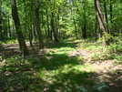 A. T. Near Black Rock Cliff, Md, 05/23/09 by Irish Eddy in Views in Maryland & Pennsylvania