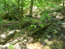 A. T. Crossing At Black Rock Creek, Md, 05/23/09