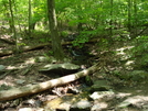 A. T. Crossing At Black Rock Creek, Md, 05/23/09