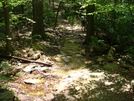 A. T. Crossing At Black Rock Creek, Md, 05/23/09