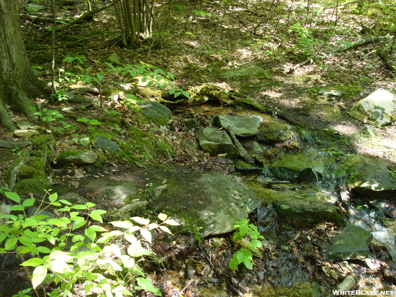 A. T. Crossing At Black Rock Creek, Md, 05/23/09