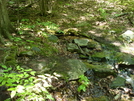 A. T. Crossing At Black Rock Creek, Md, 05/23/09 by Irish Eddy in Views in Maryland & Pennsylvania