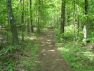 A. T. North Of Pogo Memorial Campsite, Md, 05/23/09 by Irish Eddy in Views in Maryland & Pennsylvania