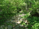 A.t. North Of Pogo Memorial Campsite, Md, 05/23/09 by Irish Eddy in Views in Maryland & Pennsylvania