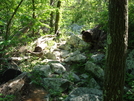 A. T. North Of Pogo Memorial Campsite, Md, 05/23/09 by Irish Eddy in Views in Maryland & Pennsylvania