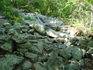 A. T. North Of Pogo Memorial Campsite, Md, 05/23/09 by Irish Eddy in Views in Maryland & Pennsylvania