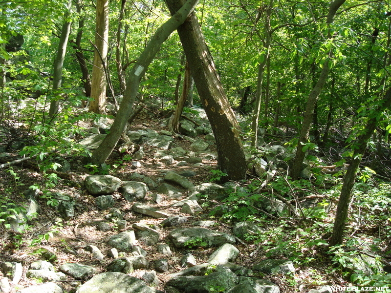 A. T. North Of Pogo Memorial Campsite, Md, 05/23/09