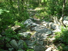 A. T. North Of Pogo Memorial Campsite, Md, 05/23/09 by Irish Eddy in Views in Maryland & Pennsylvania