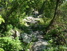 A. T. North Of Pogo Memorial Campsite, Md, 05/23/09 by Irish Eddy in Views in Maryland & Pennsylvania