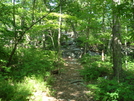 A. T. North Of Pogo Memorial Campsite, Md, 05/23/09 by Irish Eddy in Views in Maryland & Pennsylvania