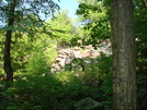 A. T. North Of Pogo Memorial Campsite, Md, 05/23/09