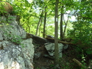 A. T. North Of Pogo Memorial Campsite, Md, 05/23/09 by Irish Eddy in Views in Maryland & Pennsylvania