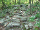 A. T. North Of Pogo Memorial Campsite, Md, 05/23/09