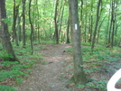 A. T. North Of Pogo Memorial Campsite, Md, 05/23/09 by Irish Eddy in Views in Maryland & Pennsylvania