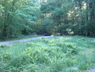 Wolfsville Road, Md Route 17, Md, Crossing, 05/23/09