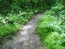 Access Trail To Parking Lot At Wolfsville Road, Md, 06/06/09