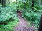 Access Trail To Spring Near Ens. Phillip Cowall Shelter, Md, 06/06/09 by Irish Eddy in Views in Maryland & Pennsylvania