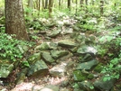 A.t. North Of Ensign Cowall Memorial Shelter, Md, 06/06/09 by Irish Eddy in Views in Maryland & Pennsylvania