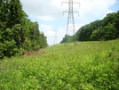 Power Line Crossing North Of Ensign Cowall Shelter, Md, 06/06/09 by Irish Eddy in Views in Maryland & Pennsylvania