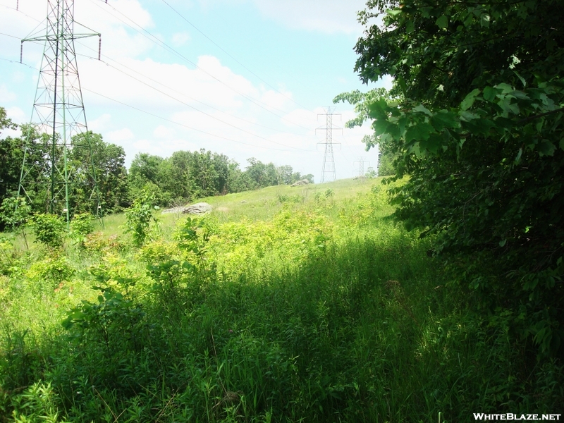 Power Line Crossing North Of Ensign Cowall Shelter, Md, 06/06/09