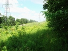 Power Line Crossing North Of Ensign Cowall Shelter, Md, 06/06/09