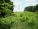 Power Line Crossing North Of Ensign Cowall Shelter, Md, 06/06/09