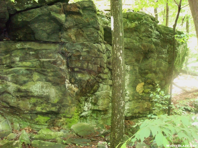 A. T. North Of Ensign Cowall Memorial Shelter, Md, 06/06/09