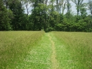 A. T. North Of Ensign Cowall Memorial Shelter, Md, 06/06/09 by Irish Eddy in Views in Maryland & Pennsylvania