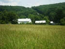 A.t. North Of Foxville Road, Md Route 77, Md, 06/06/09