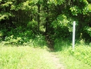 A. T. North Of Foxville Road, Md Route 77, Md, 06/06/09