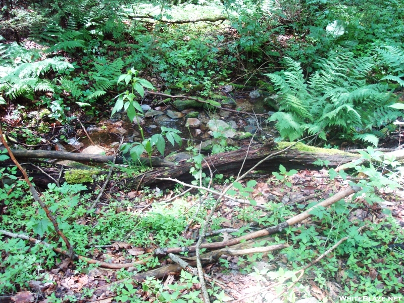 A. T. Stream Crossings In Warner Gap Hollow, Md, 06/06/09