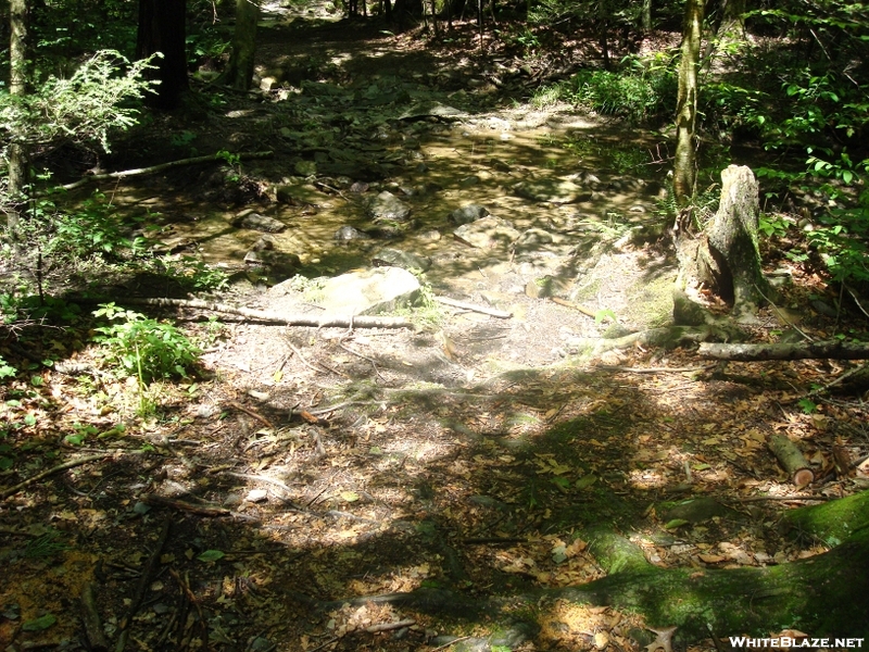 A. T. Stream Crossing In Warner Gap Hollow, Md, 06/06/09