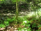 A. T. Stream Crossings At Warner Gap Hollow, Md, 06/06/09 by Irish Eddy in Views in Maryland & Pennsylvania