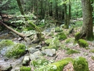 A. T. Stream Crossings At Warner Gap Hollow, Md, 06/06/09